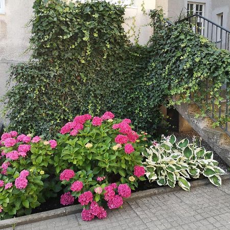 Oliva Stay Gdańsk Zewnętrze zdjęcie