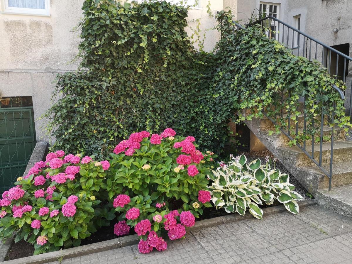 Oliva Stay Gdańsk Zewnętrze zdjęcie